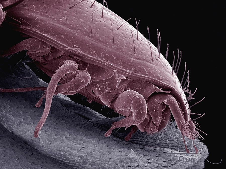 桃園 洗冷氣價格